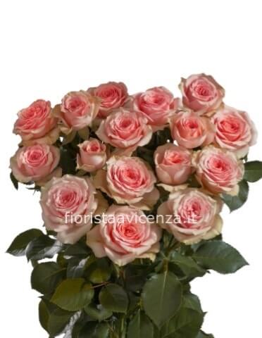 Bouquet di rose rosse » Fiori a Vicenza, acquista fiori online a Vicenza,  consegna fiori a domicilio a Vicenza, invio fiori a Vicenza.