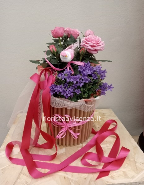 Flowers bio box